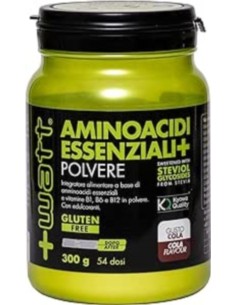 AMINOACIDI ESSENZIALI+ POLVERE 300g Lime
