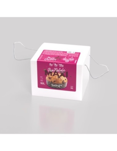 PanNatale classico 500g