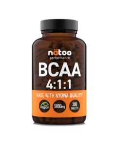 Performance BCAA 4:1:1 300cpr